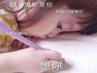 成都楠斯亘网络科技工作室
