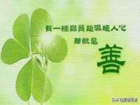 成都楠斯亘网络科技工作室