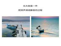 成都楠斯亘网络科技工作室