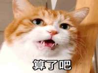 成都楠斯亘网络科技工作室