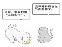 成都楠斯亘网络科技工作室