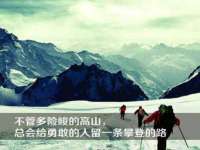 成都楠斯亘网络科技工作室