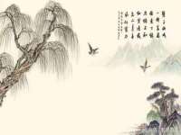 成都楠斯亘网络科技工作室