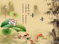 成都楠斯亘网络科技工作室