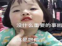 成都楠斯亘网络科技工作室