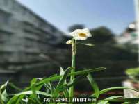 成都楠斯亘网络科技工作室