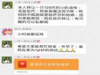 成都楠斯亘网络科技工作室