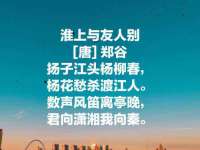 成都楠斯亘网络科技工作室