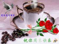成都楠斯亘网络科技工作室