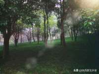 成都楠斯亘网络科技工作室