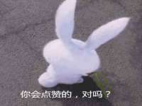 成都楠斯亘网络科技工作室