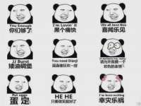 成都楠斯亘网络科技工作室
