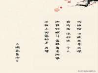 成都楠斯亘网络科技工作室