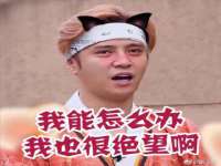 成都楠斯亘网络科技工作室