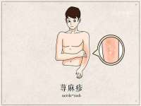 成都楠斯亘网络科技工作室