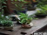 成都楠斯亘网络科技工作室