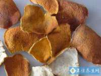 成都楠斯亘网络科技工作室