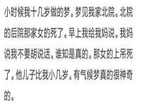 成都楠斯亘网络科技工作室