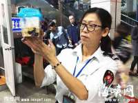 成都楠斯亘网络科技工作室