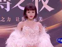 成都楠斯亘网络科技工作室