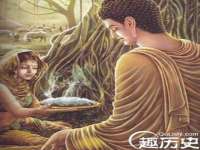成都楠斯亘网络科技工作室